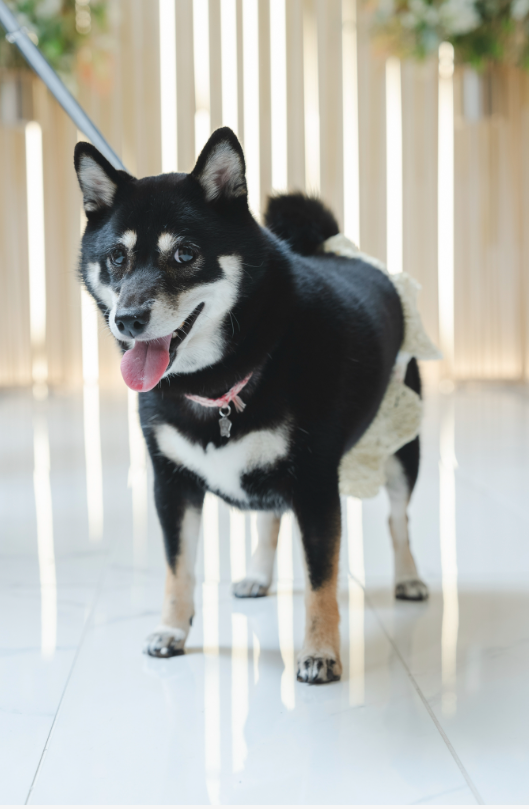 家族と「和ん装」フォトウェディング